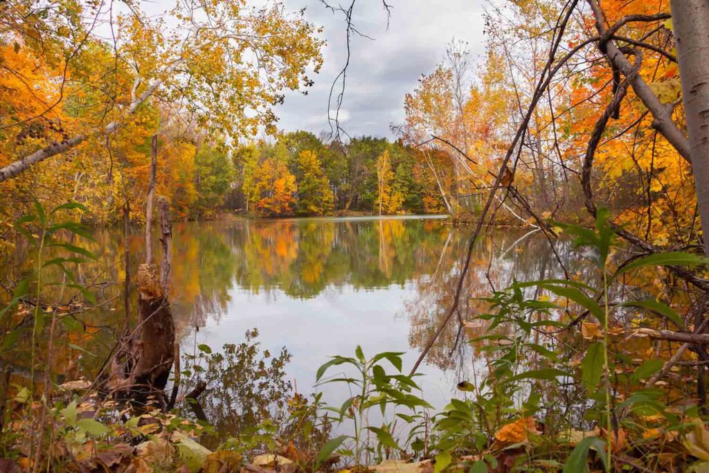 Fall landscape reflecting in pond